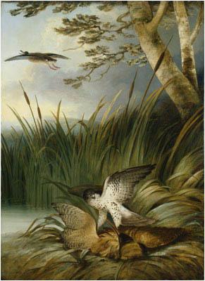 Philip Reinagle Harrier Killing a Bittern Norge oil painting art